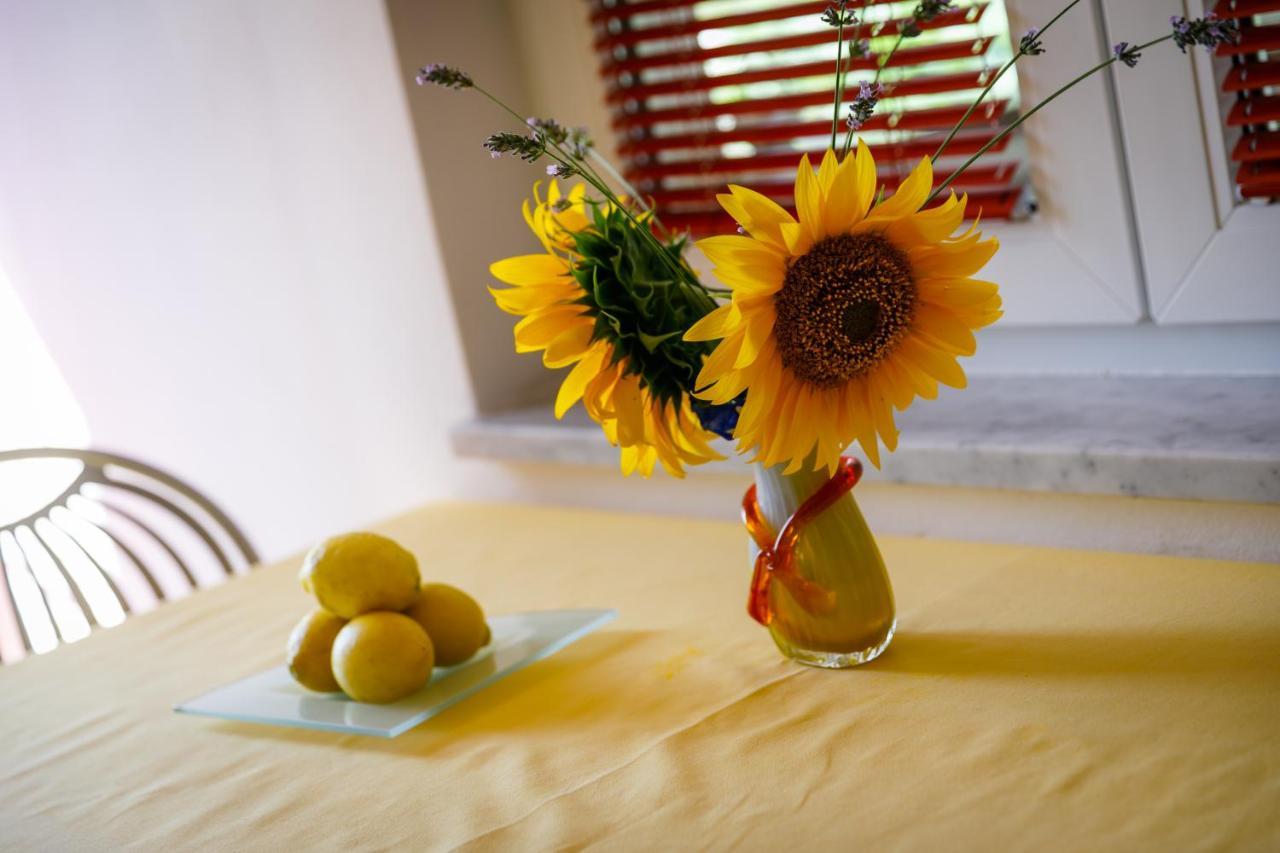 Apartment Marko Kornić Extérieur photo